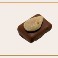 chocolat praliné