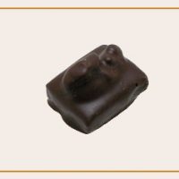 chocolat praliné